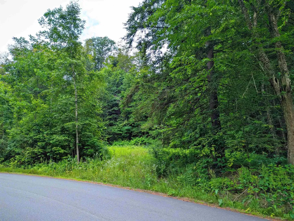 341 Seavers Brook Road Springfield VT 05156