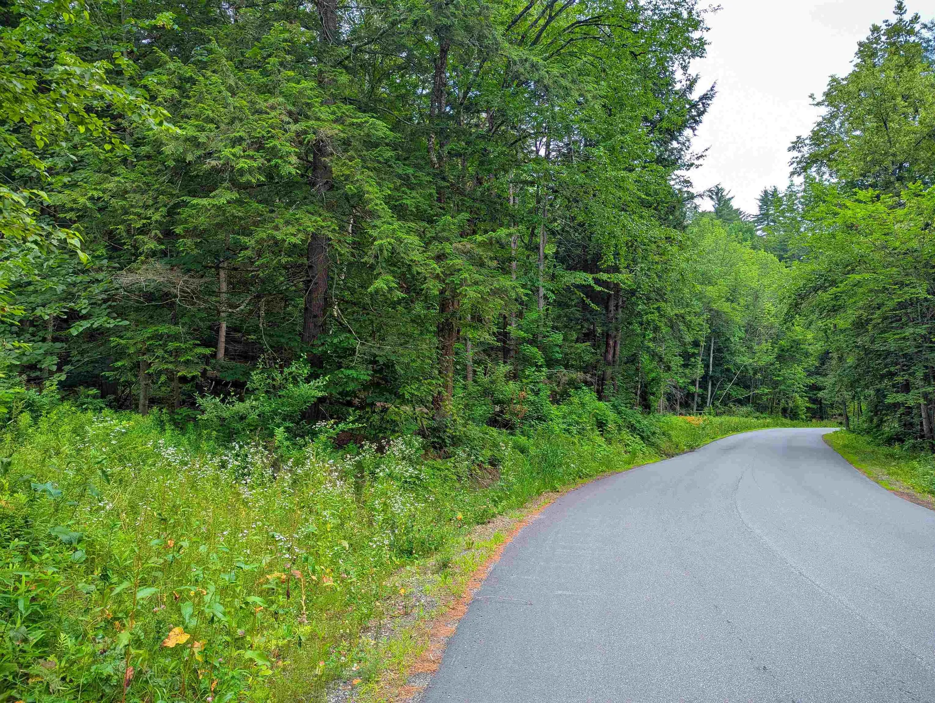 341 Seavers Brook Road Springfield VT 05156