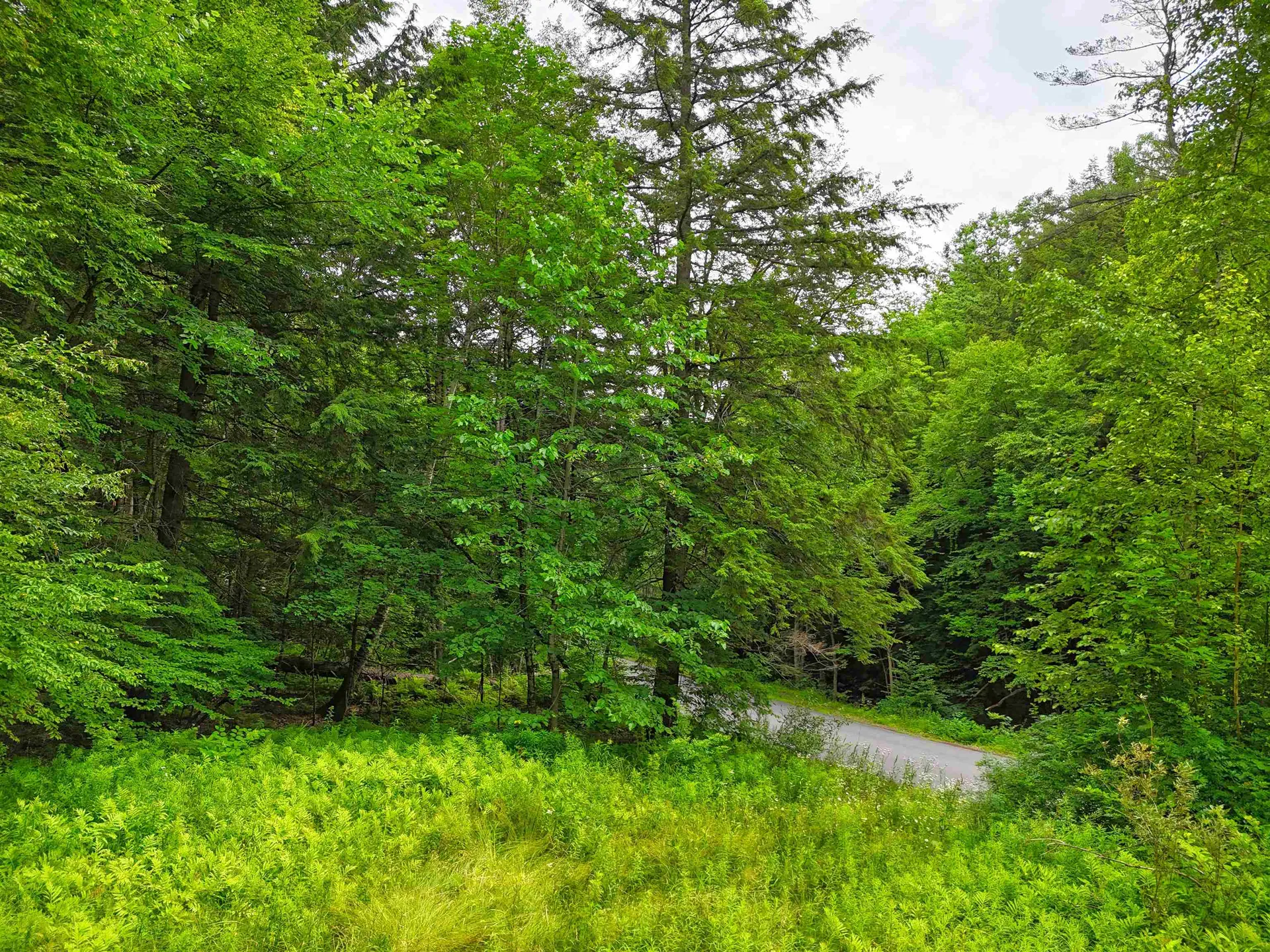 341 Seavers Brook Road Springfield VT 05156