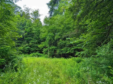 341 Seavers Brook Road Springfield VT 05156