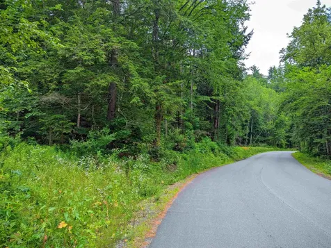 341 Seavers Brook Road Springfield VT 05156