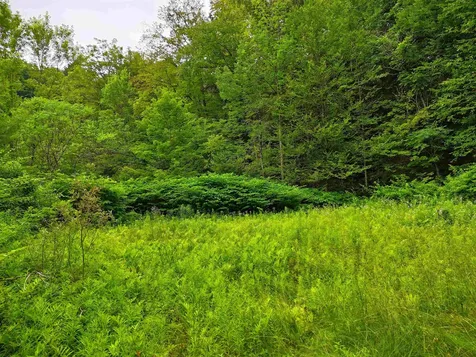 341 Seavers Brook Road Springfield VT 05156