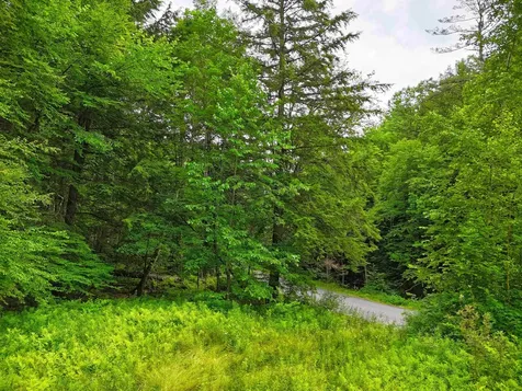 341 Seavers Brook Road Springfield VT 05156