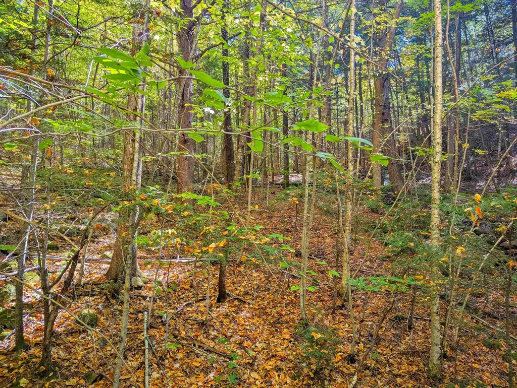 Checkerberry Ridge Thornton NH 03223