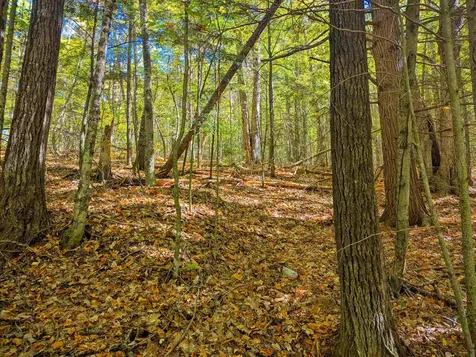 Checkerberry Ridge Thornton NH 03223