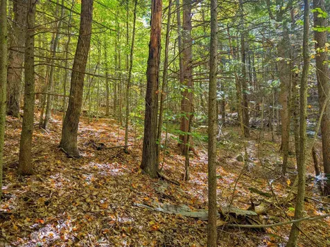 Checkerberry Ridge Thornton NH 03223