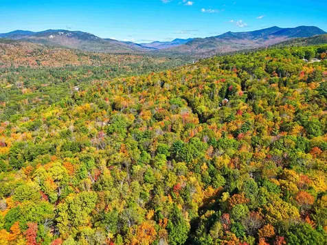 Checkerberry Ridge Thornton NH 03223