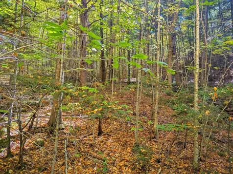 Checkerberry Ridge Thornton NH 03223