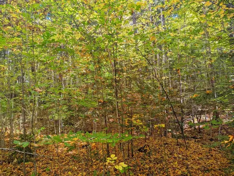 Checkerberry Ridge Thornton NH 03223