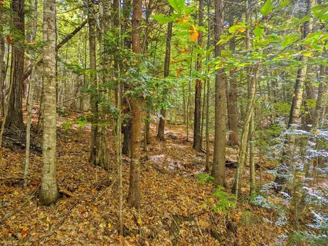 Checkerberry Ridge Thornton NH 03223