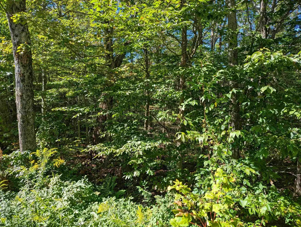 Oberhugel Road Readsboro VT 05350