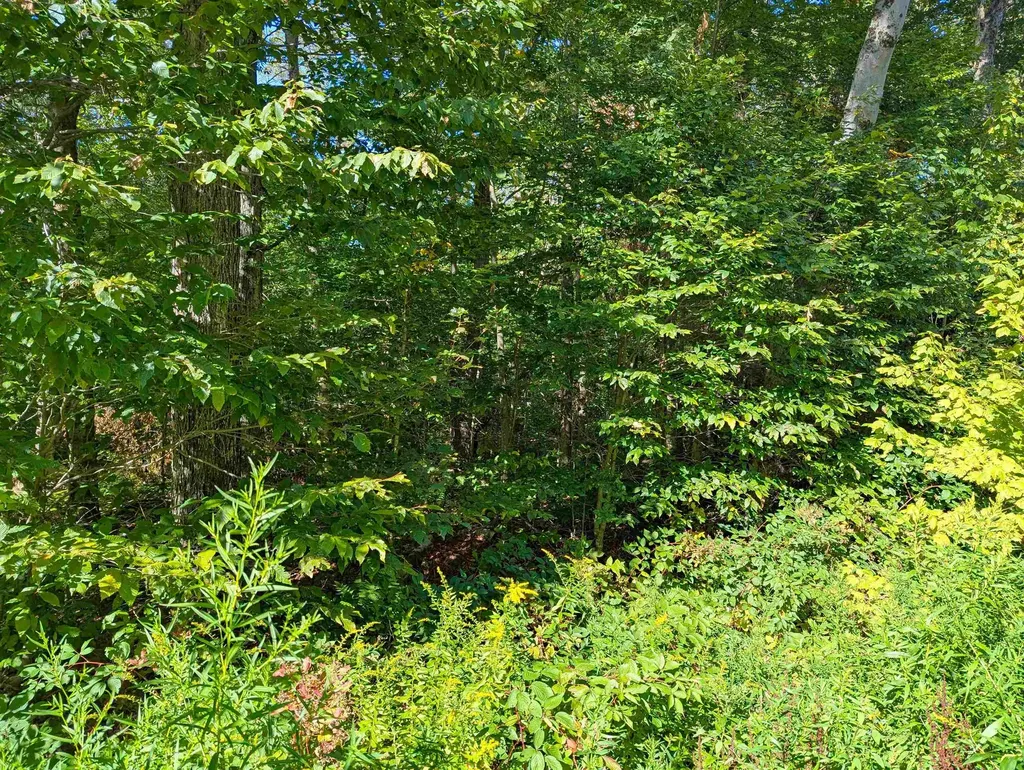 Oberhugel Road Readsboro VT 05350