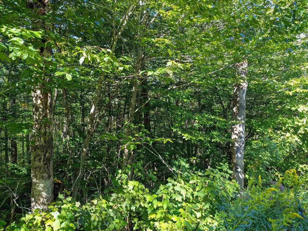 Oberhugel Road Readsboro VT 05350