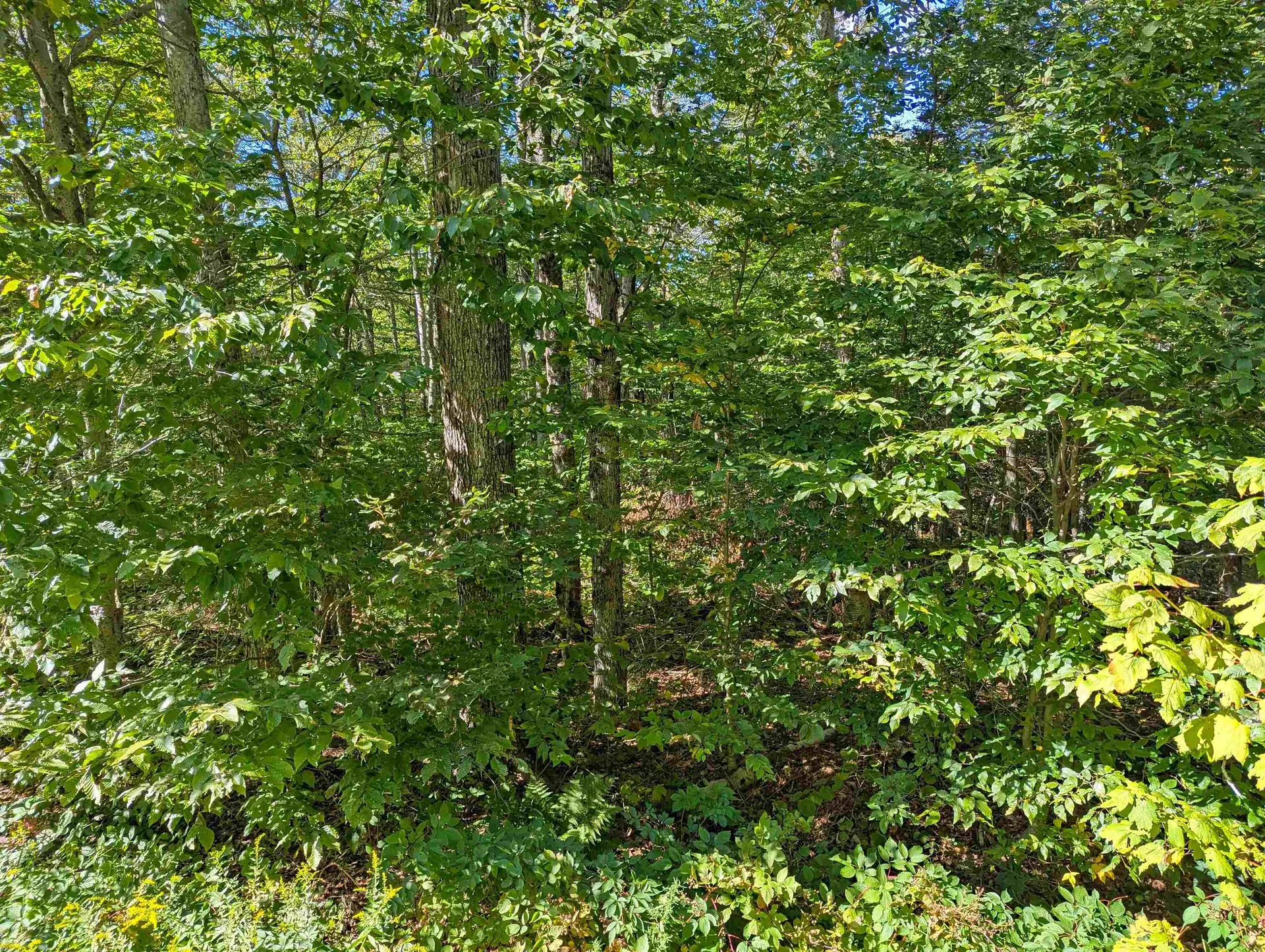 Oberhugel Road Readsboro VT 05350