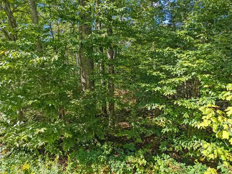 Oberhugel Road Readsboro VT 05350