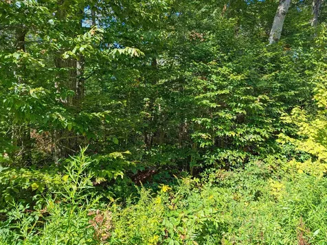 Oberhugel Road Readsboro VT 05350