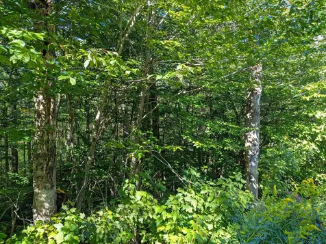 Oberhugel Road Readsboro VT 05350