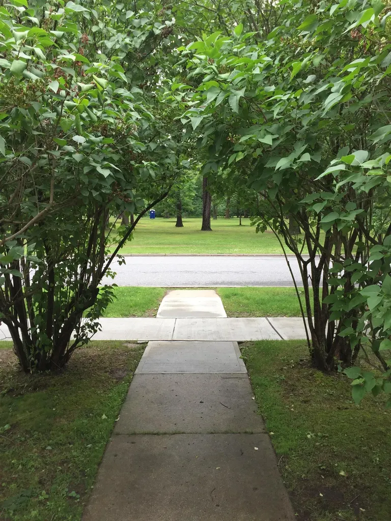 408 C Dalton Drive Colchester VT 05445