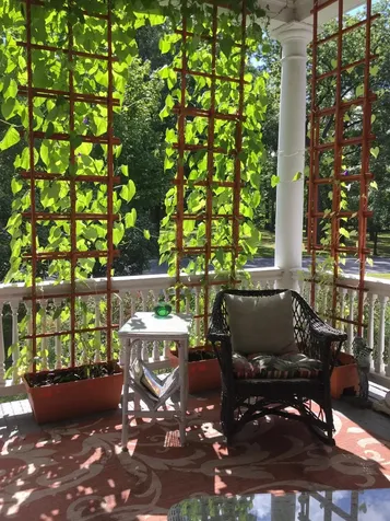 408 C Dalton Drive Colchester VT 05445