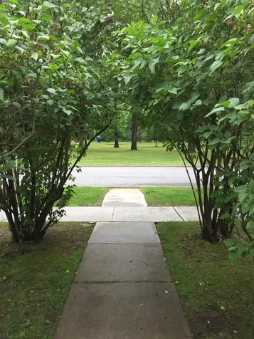 408 C Dalton Drive Colchester VT 05445