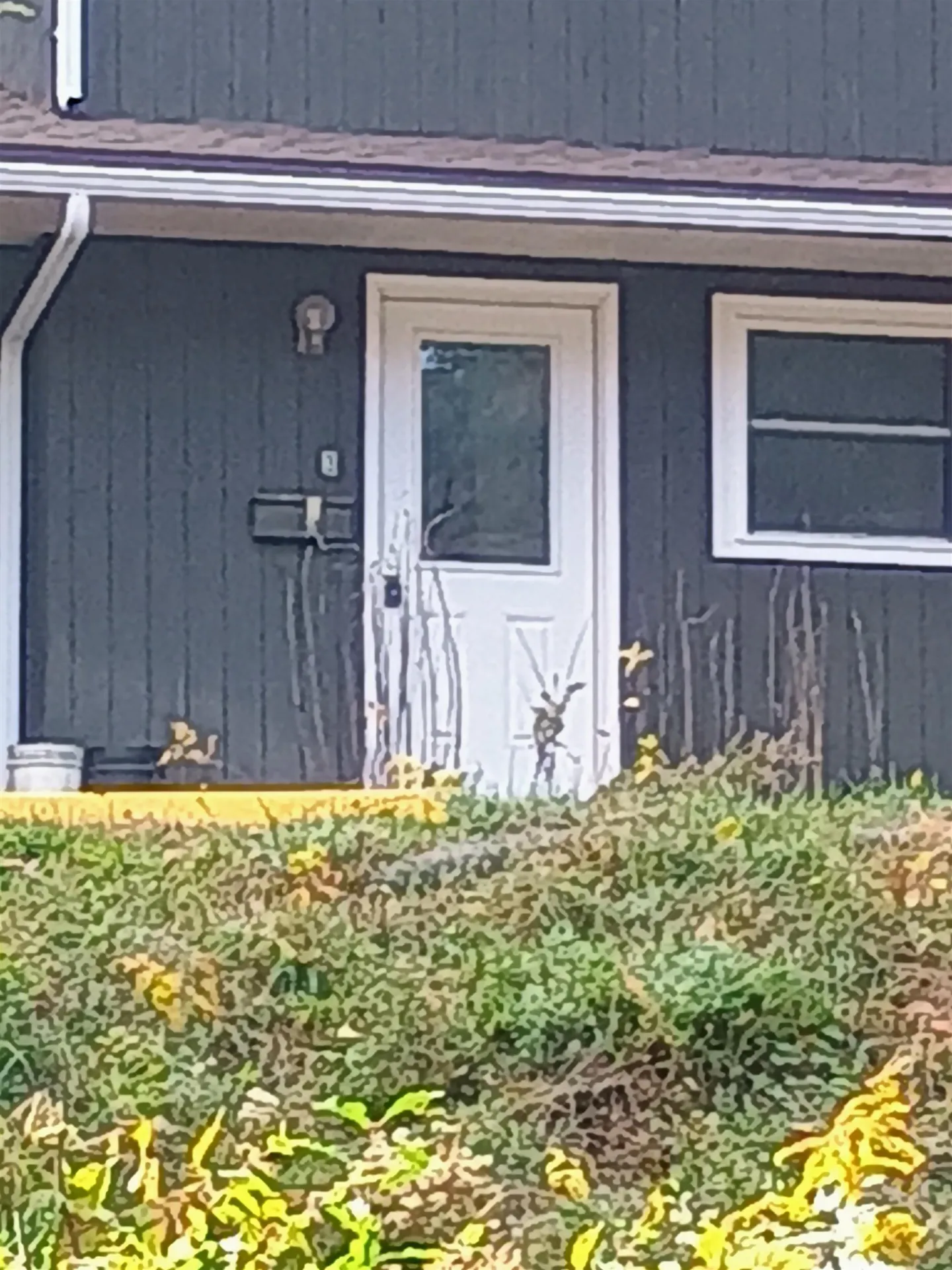 39 Brookside Drive Brattleboro VT 05301