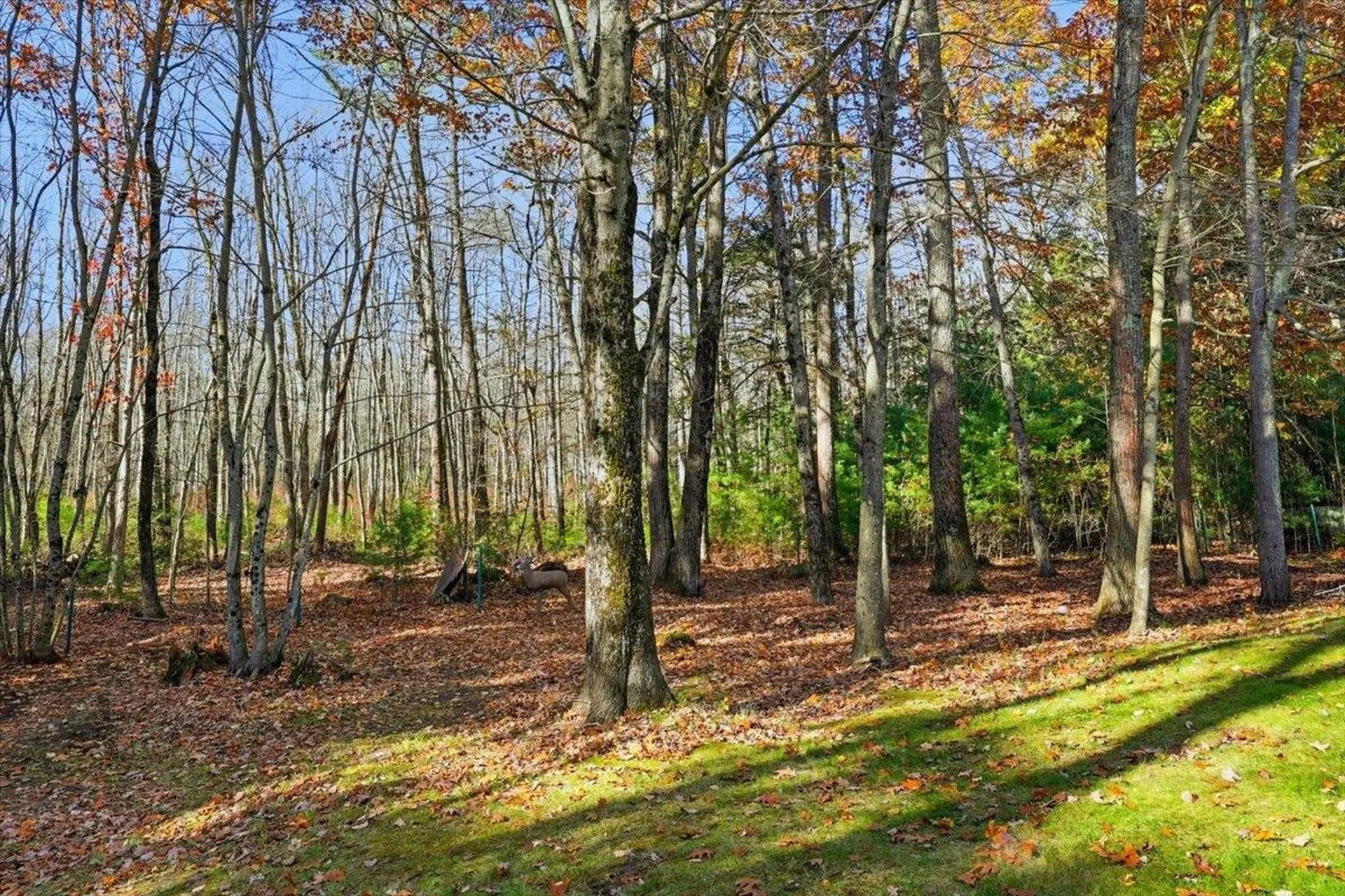 22 Cardinal Lane Litchfield NH 03052