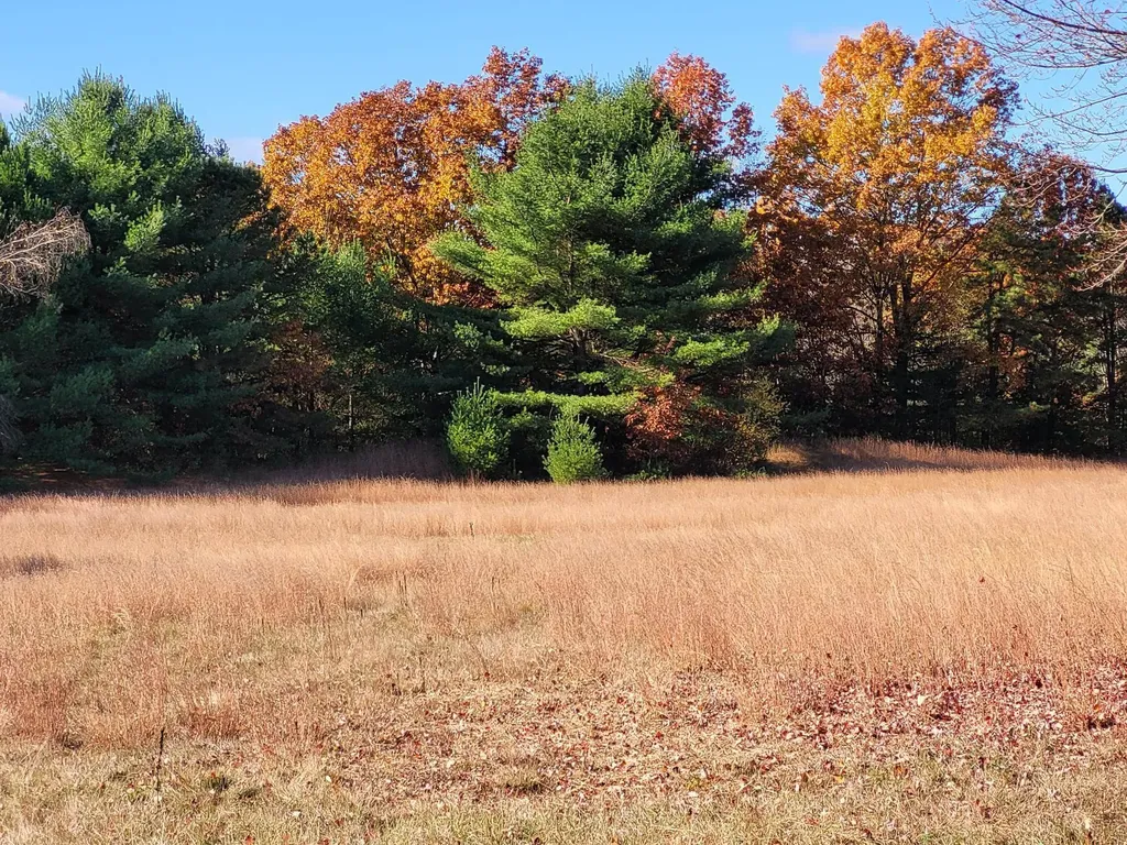 60 Old Colchester Road Essex Junction VT 05452