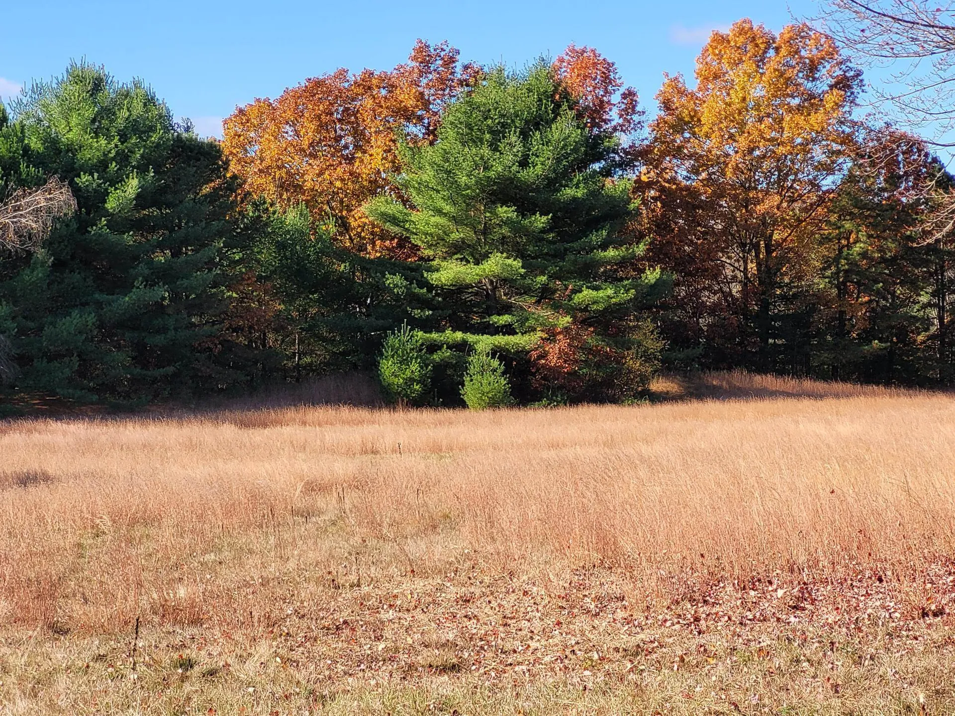 60 Old Colchester Road Essex Junction VT 05452