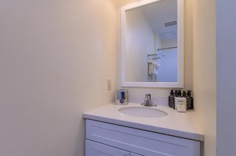 254/256 Qtr. I Jackson Gore Inn Ludlow VT 05149