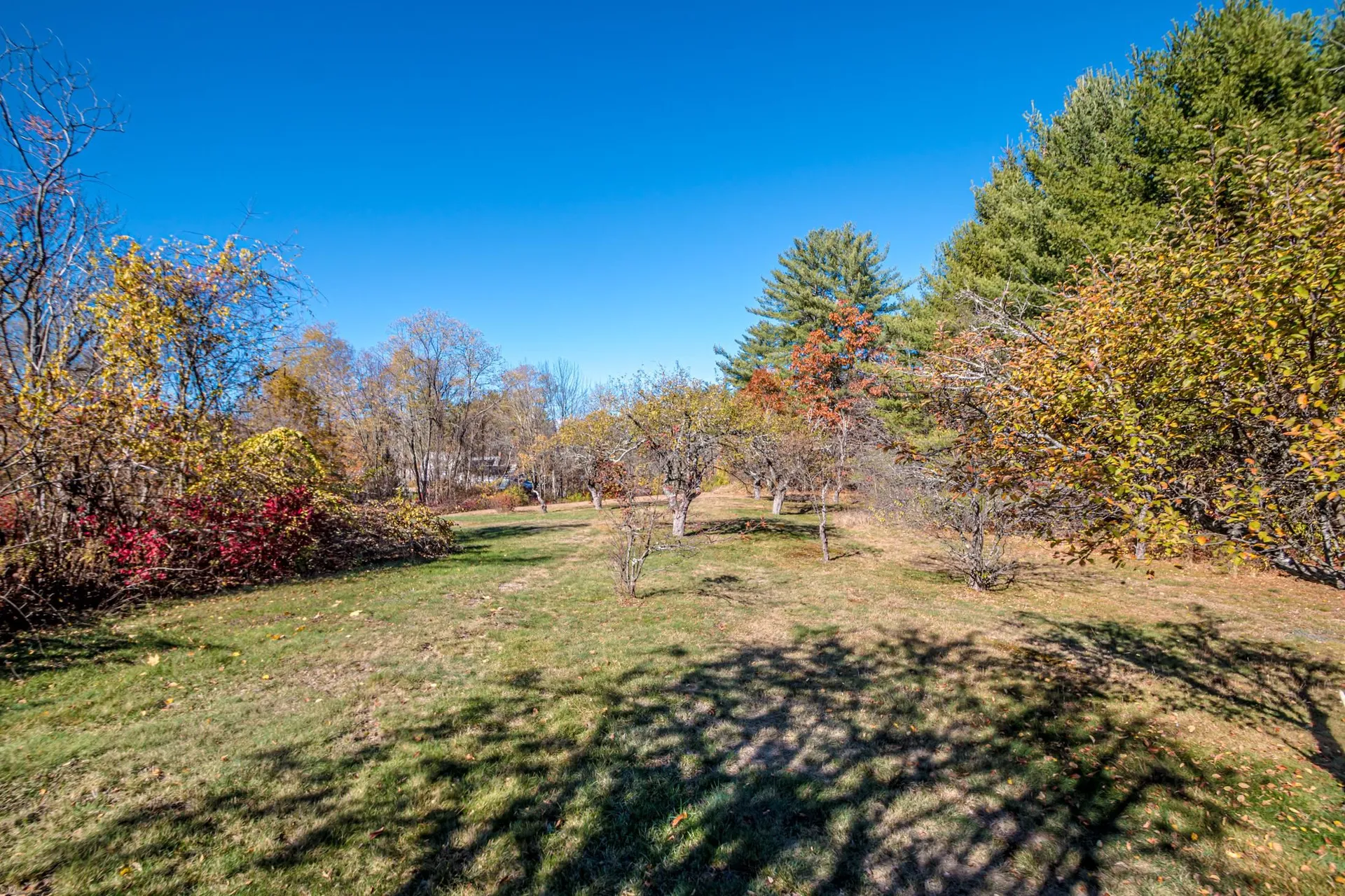 49 Deer Hill Road Tamworth NH 03817