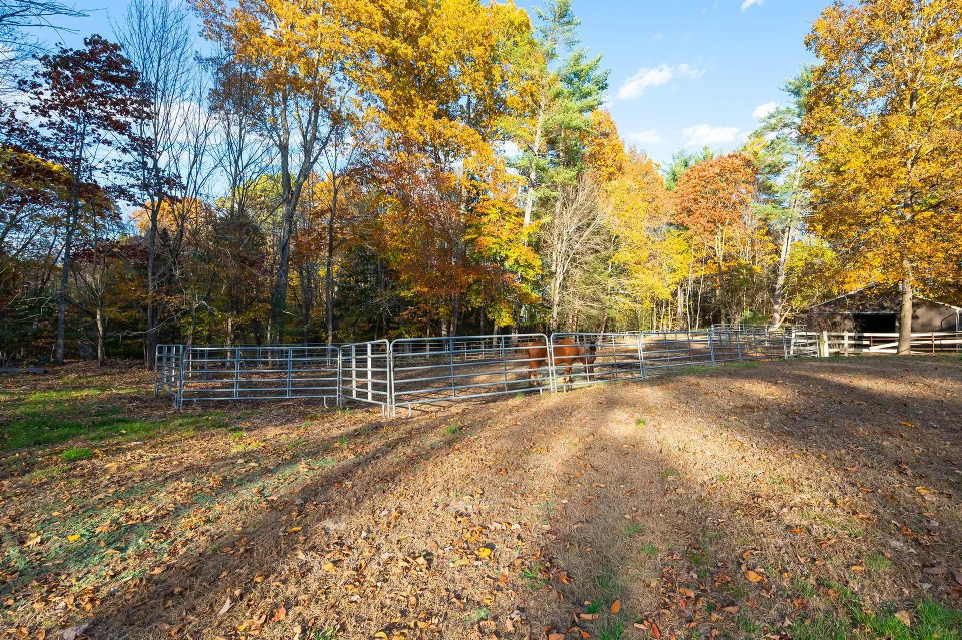 27 Arabian Way Chester NH 03036