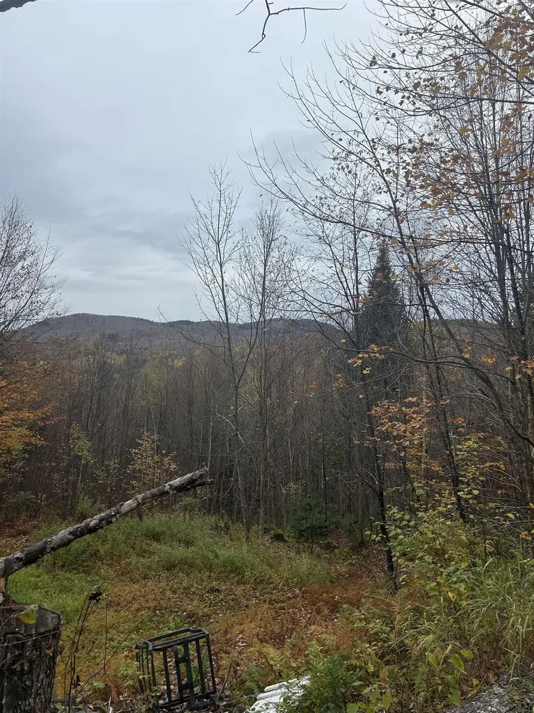 50 Hampshire Woods Loop Errol NH 03579