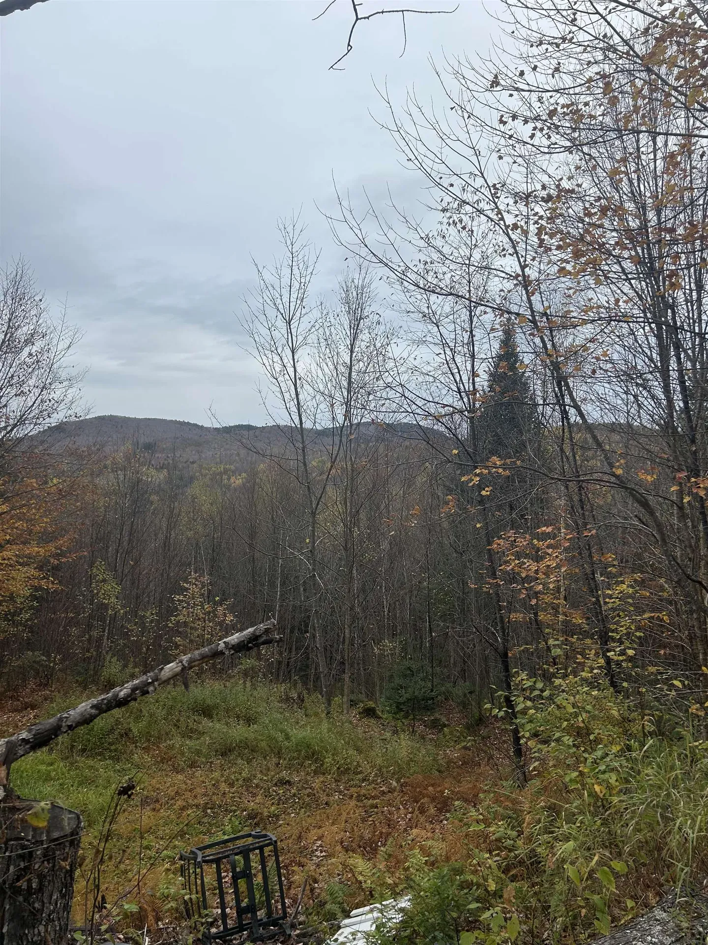 50 Hampshire Woods Loop Errol NH 03579