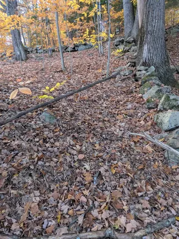 43 Westmoreland Road Chesterfield NH 03462