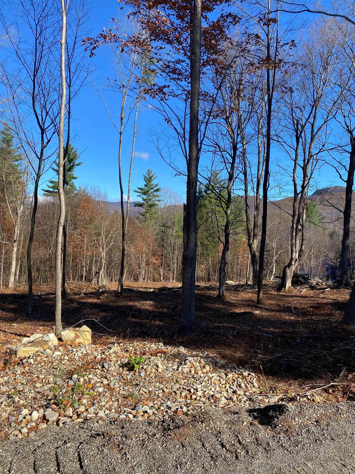 Lot A Frost Pond Road Dorset VT 05251
