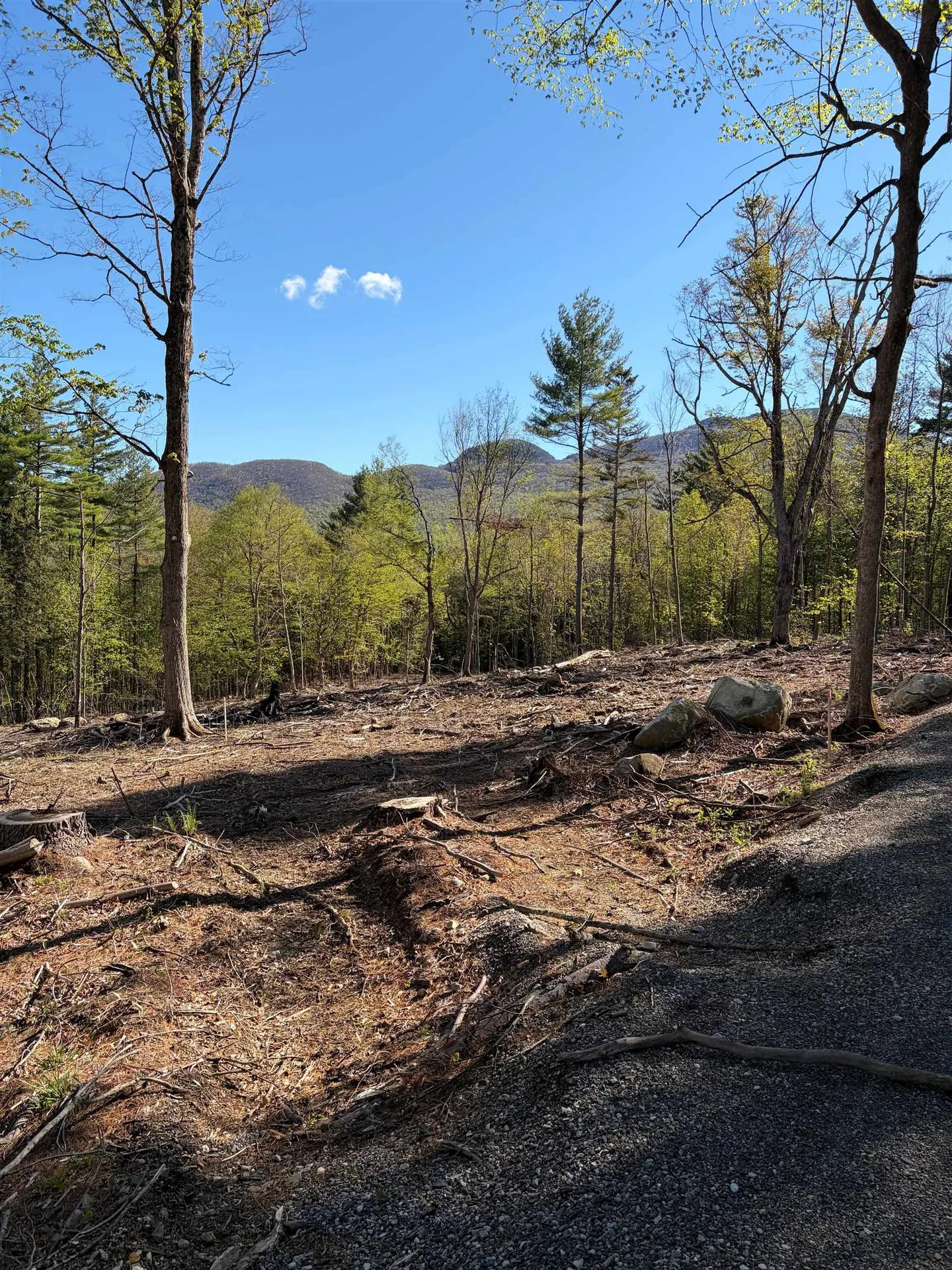 Lot A Frost Pond Road Dorset VT 05251