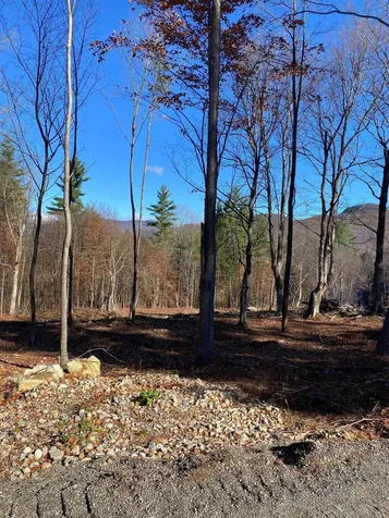 Lot A Frost Pond Road Dorset VT 05251