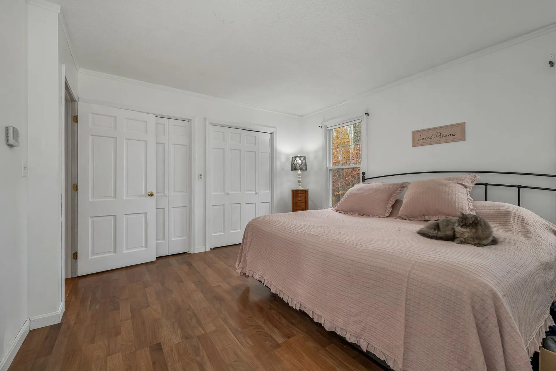 10 Winterberry Drive Amherst NH 03031