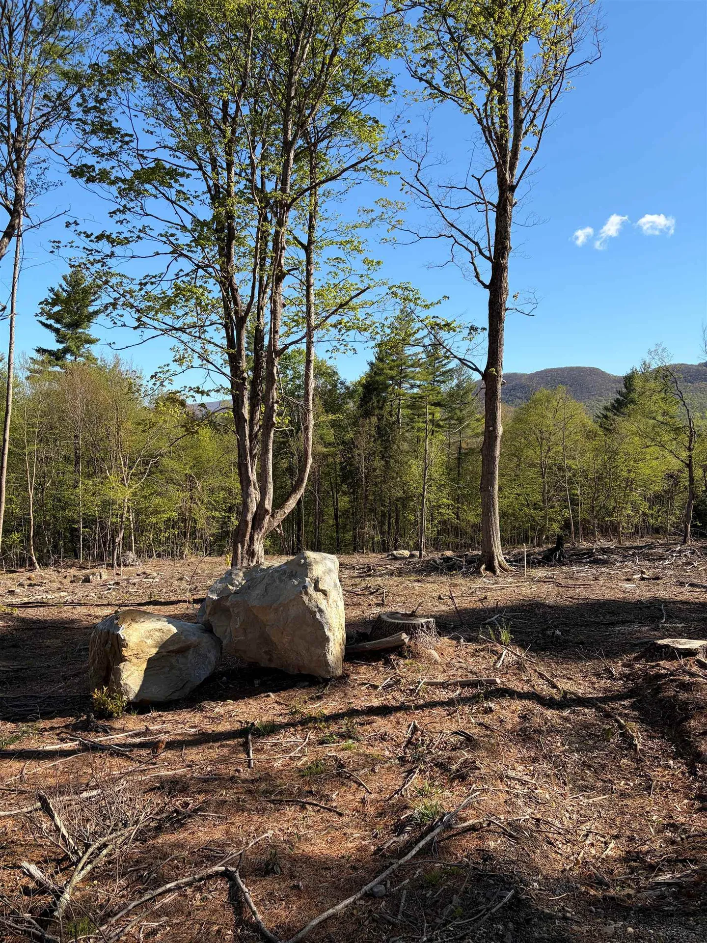 Lot B Frost Pond Road Dorset VT 05251