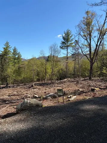 Lot B Frost Pond Road Dorset VT 05251