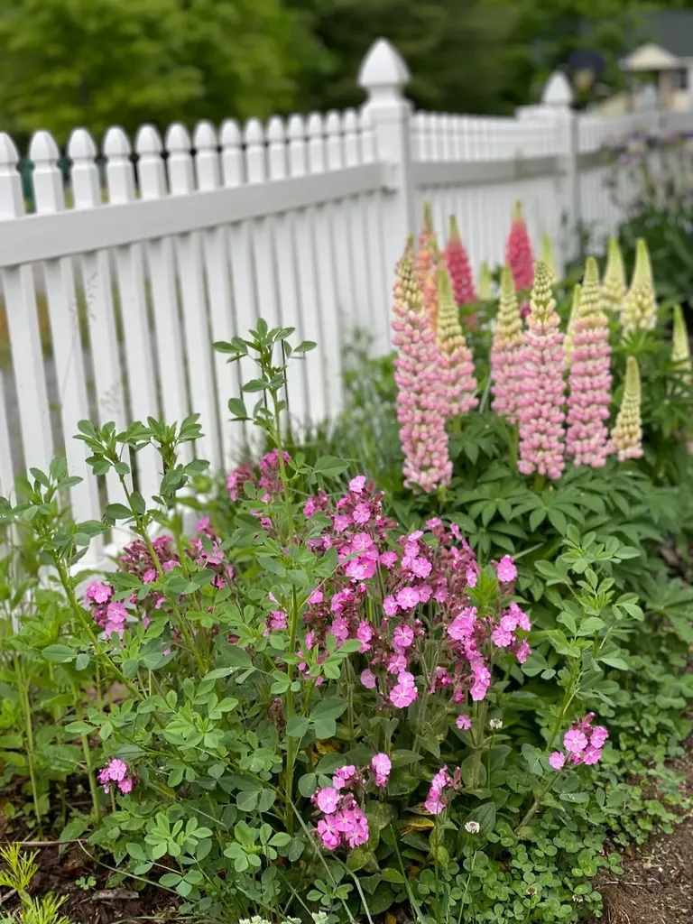 41 Kinsale Drive Rochester NH 03868