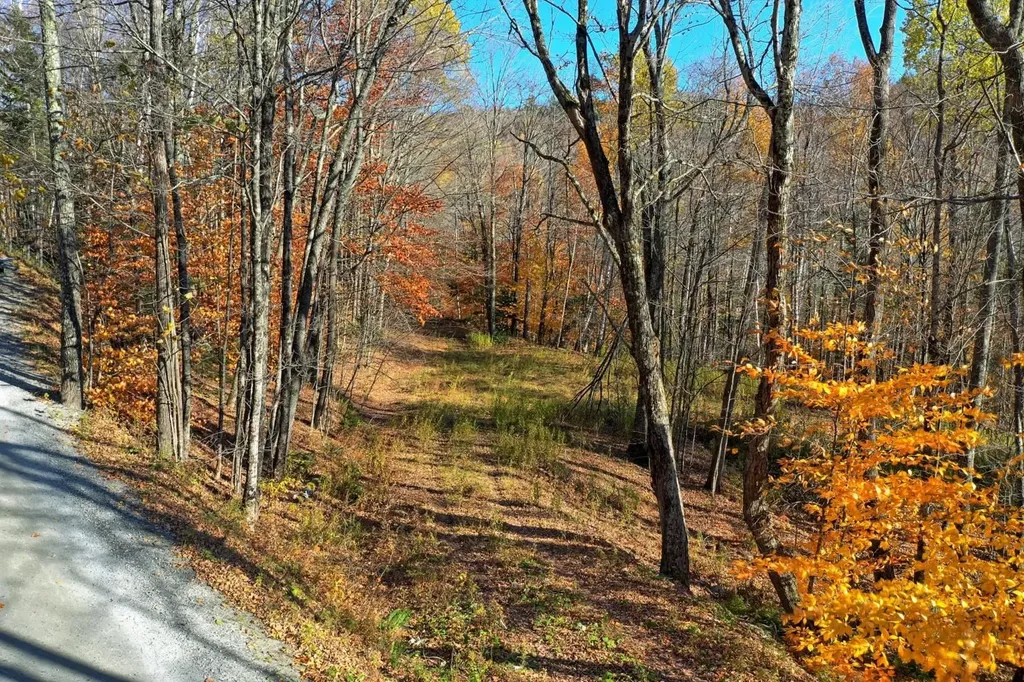 Lot 10 South Hill Road Stockbridge VT 05772