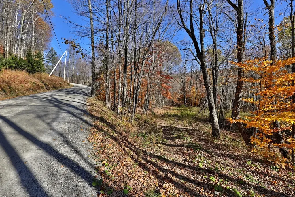 Lot 10 South Hill Road Stockbridge VT 05772
