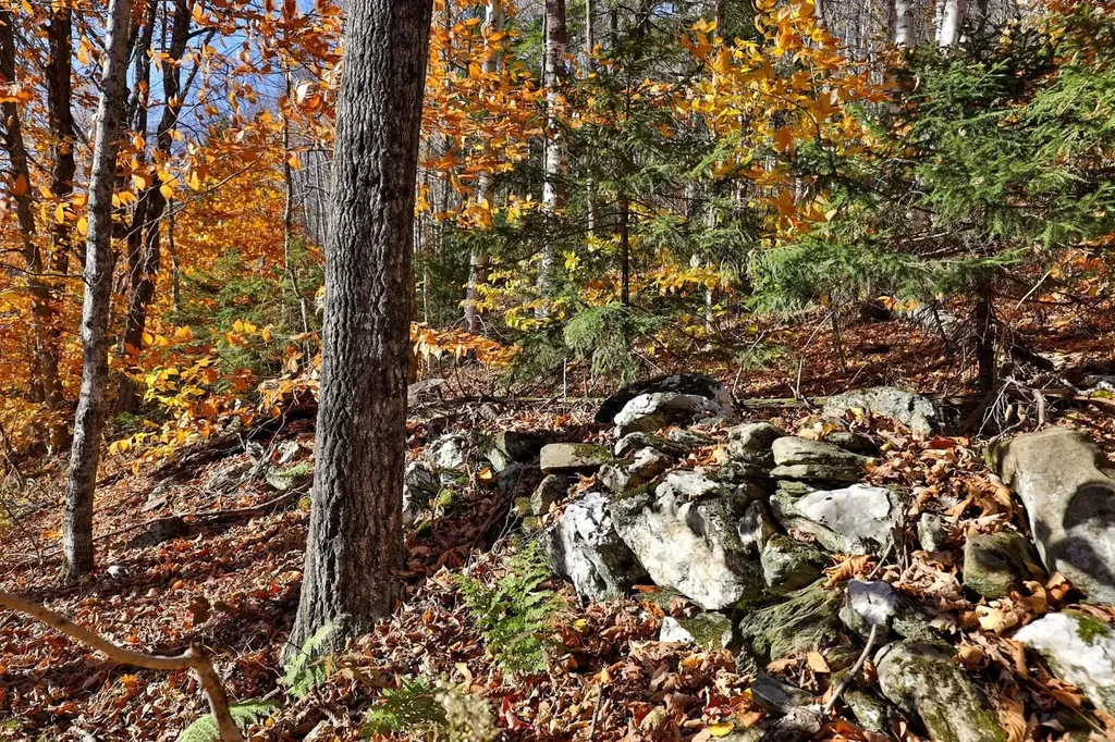 Lot 10 South Hill Road Stockbridge VT 05772