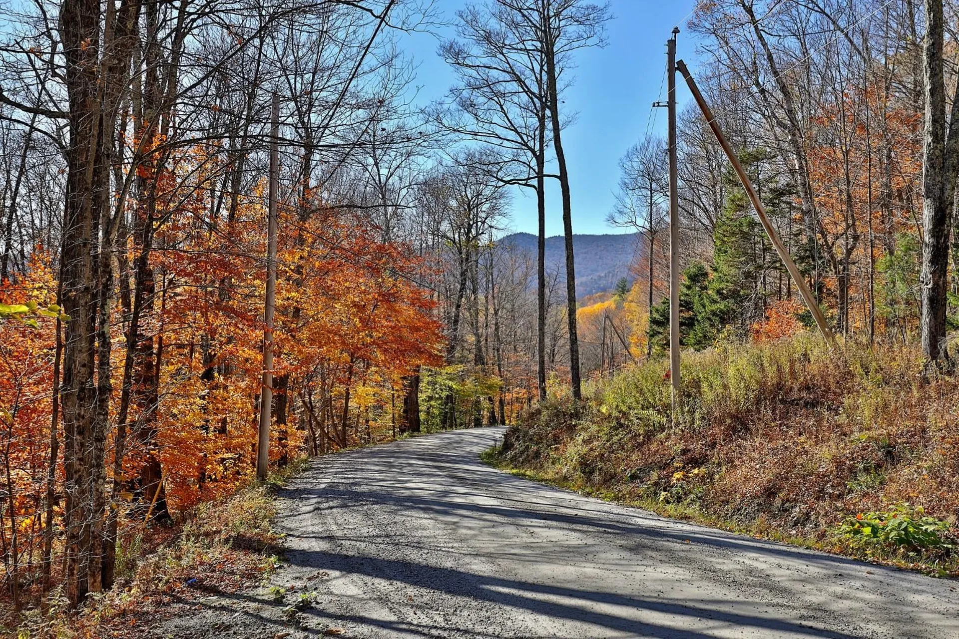 Lot 10 South Hill Road Stockbridge VT 05772