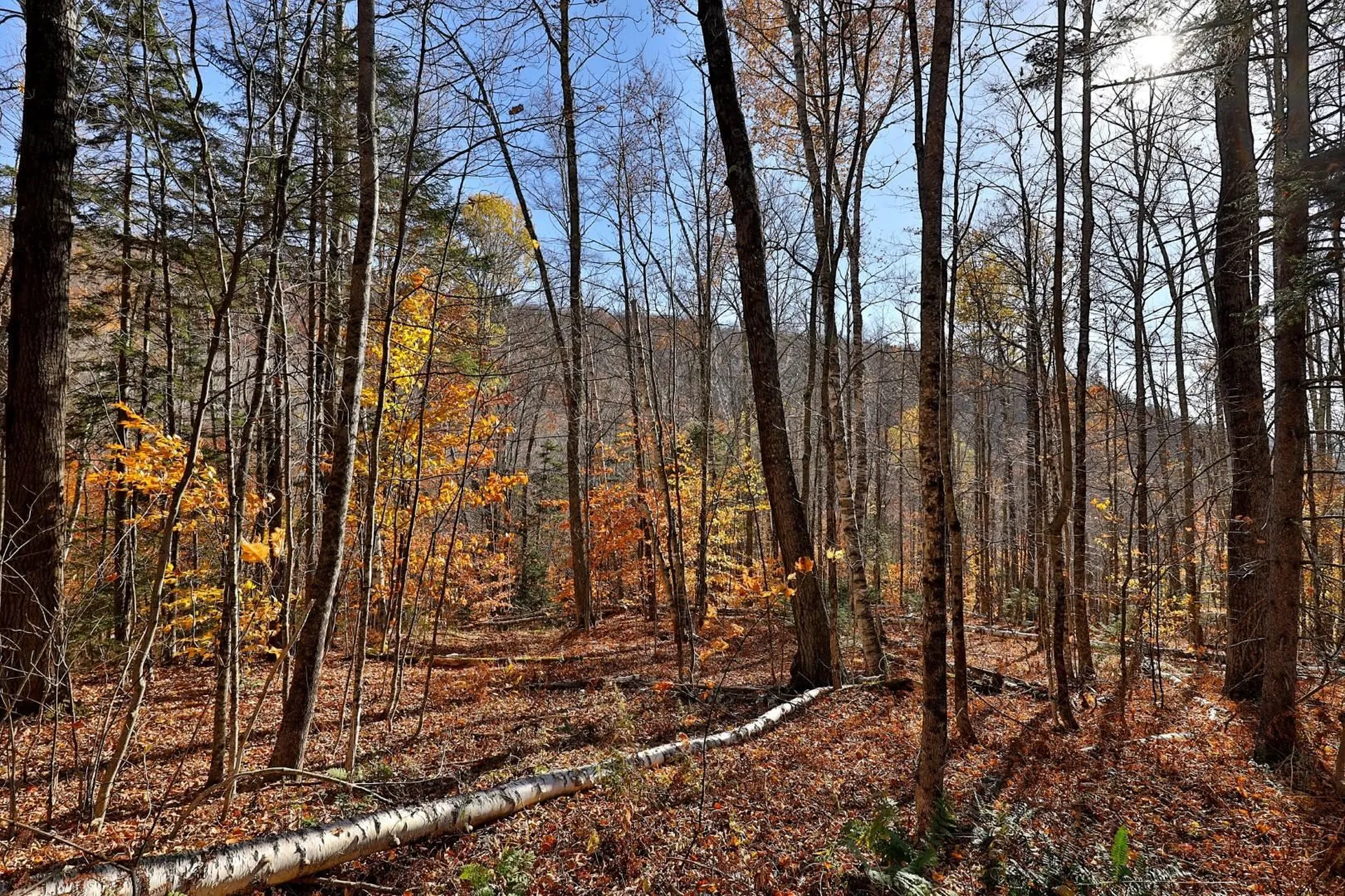 Lot 10 South Hill Road Stockbridge VT 05772
