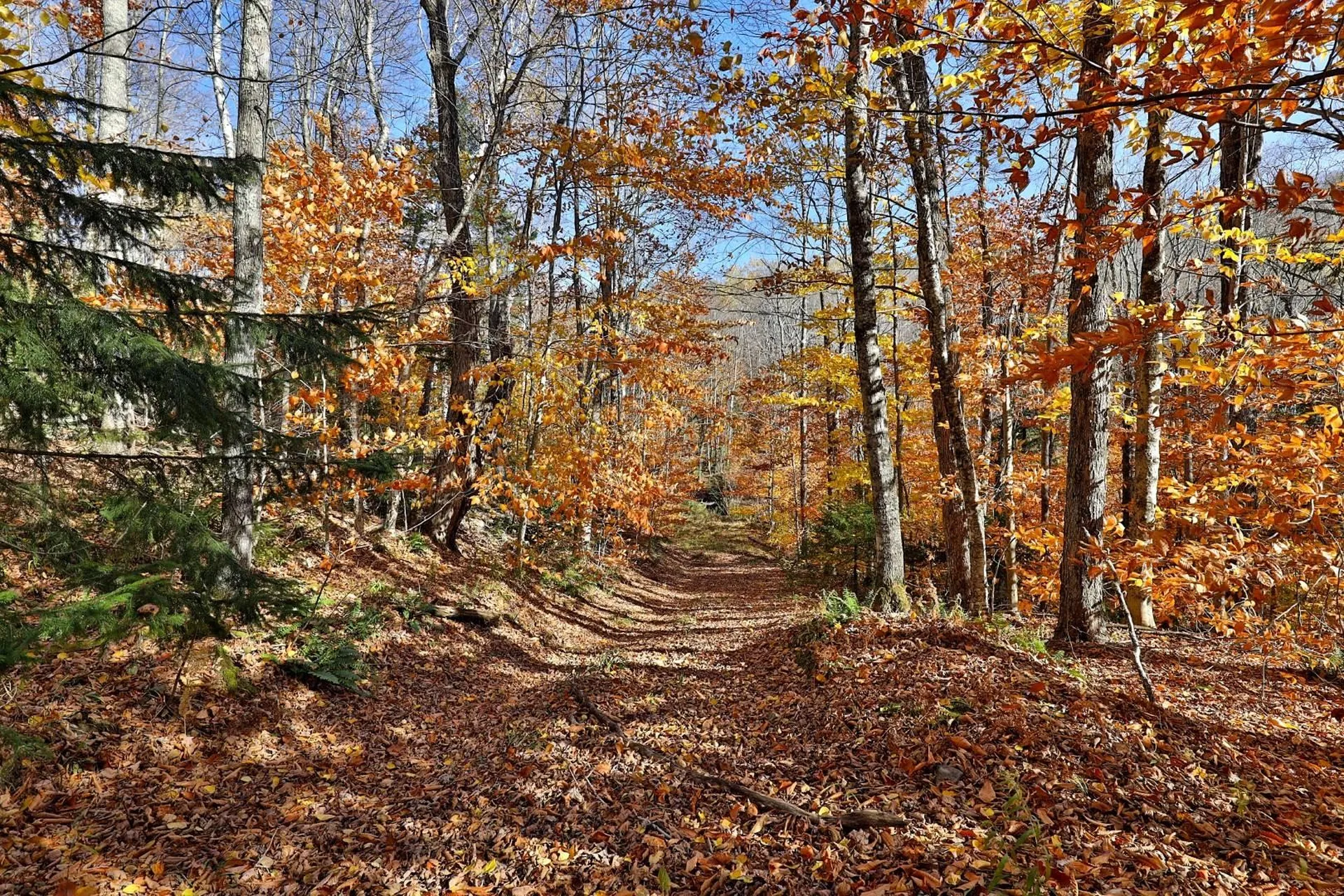 Lot 10 South Hill Road Stockbridge VT 05772
