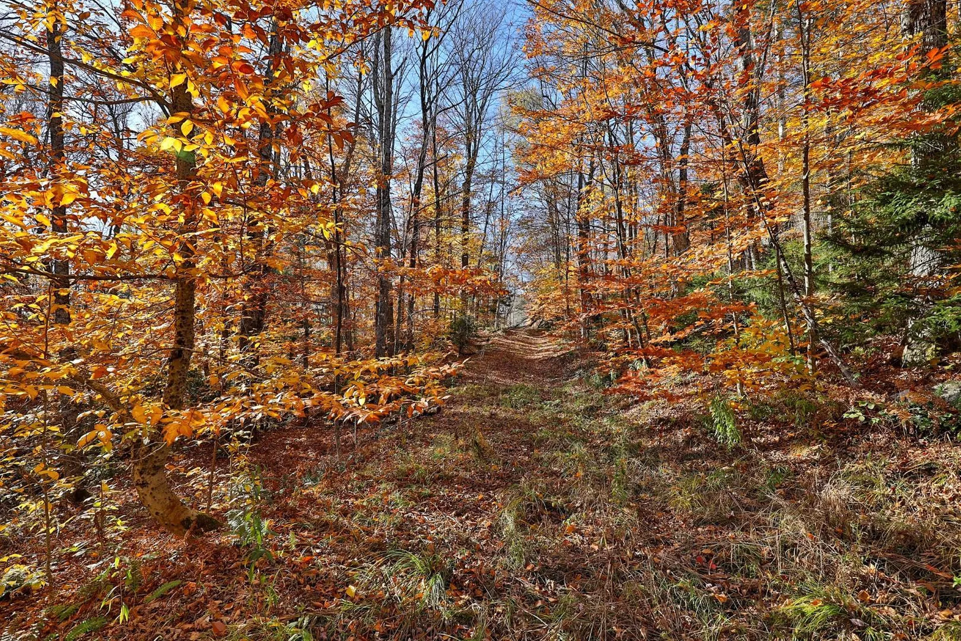 Lot 10 South Hill Road Stockbridge VT 05772