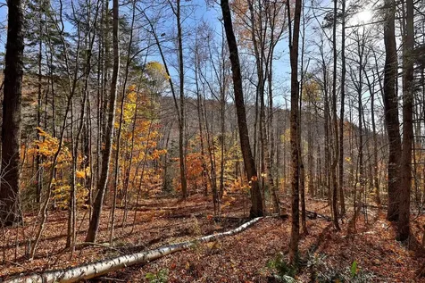 Lot 10 South Hill Road Stockbridge VT 05772