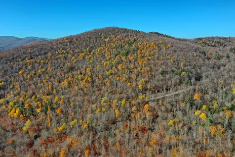 Lot 10 South Hill Road Stockbridge VT 05772